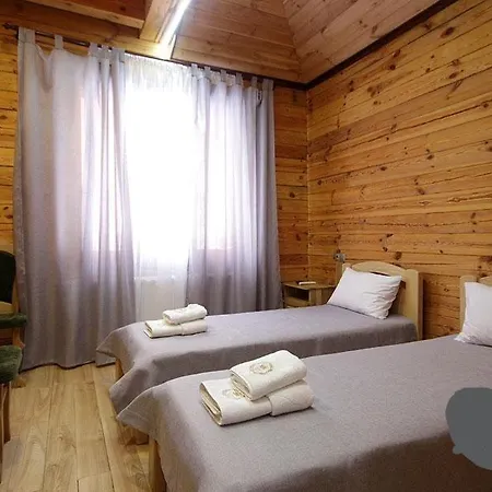 Golden Nest Apartment Yablunytsya Exterior photo