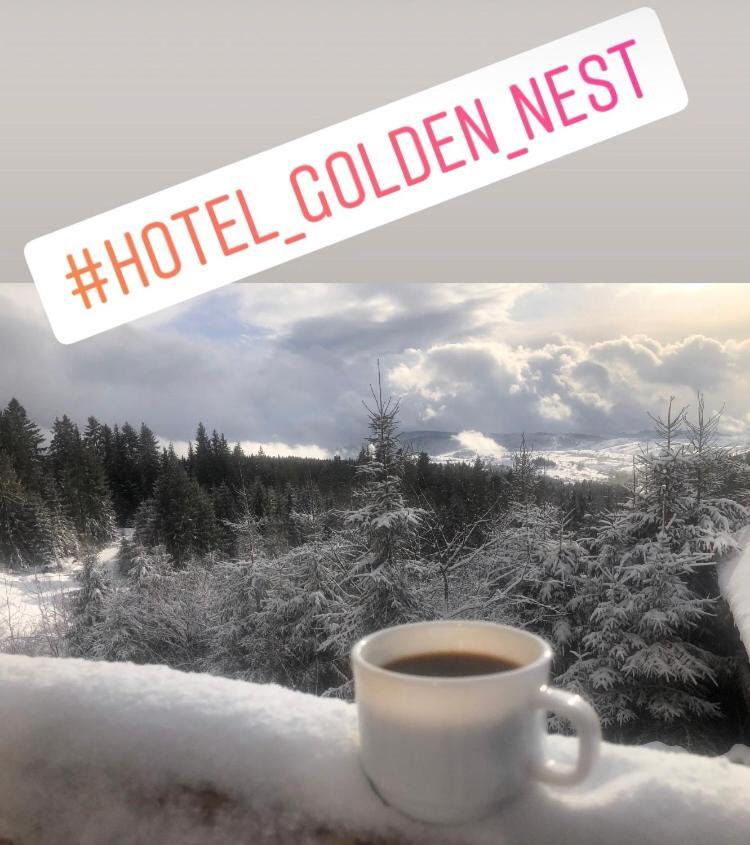 Apartment Golden Nest