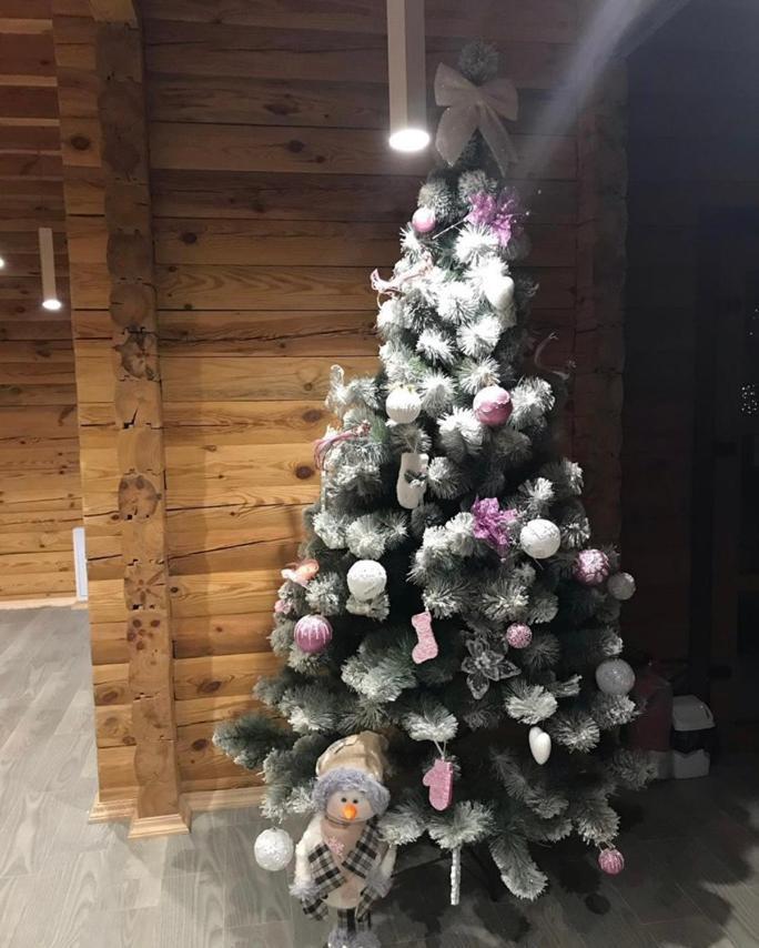 Golden Nest Apartment Yablunytsya
