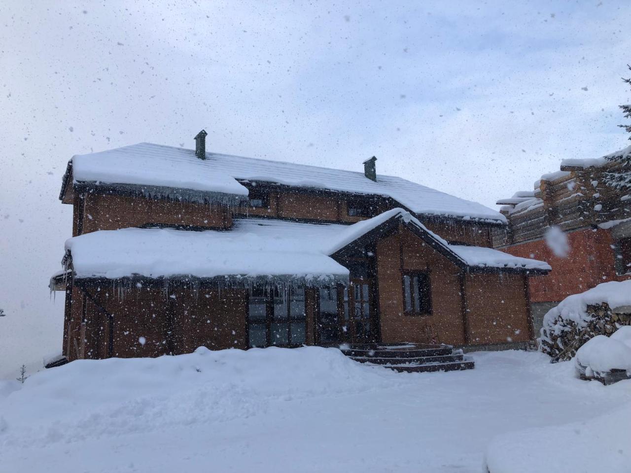 Golden Nest Apartment Yablunytsya