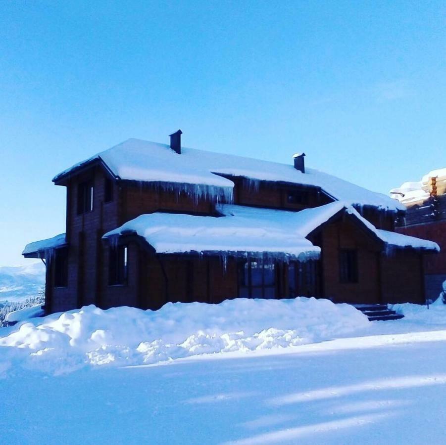 Golden Nest Yablunytsya
